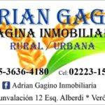 Adrian Gagino Imagina Inmobiliaria