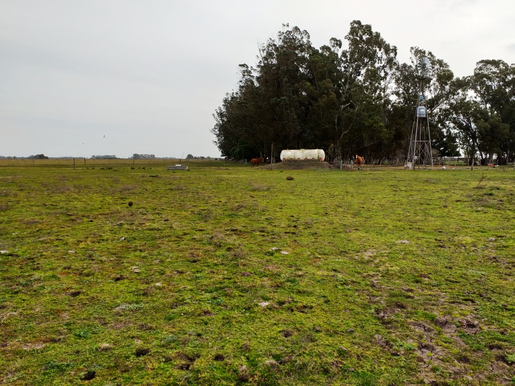 Campo en Venta Punta Indio – 115 hectáreas