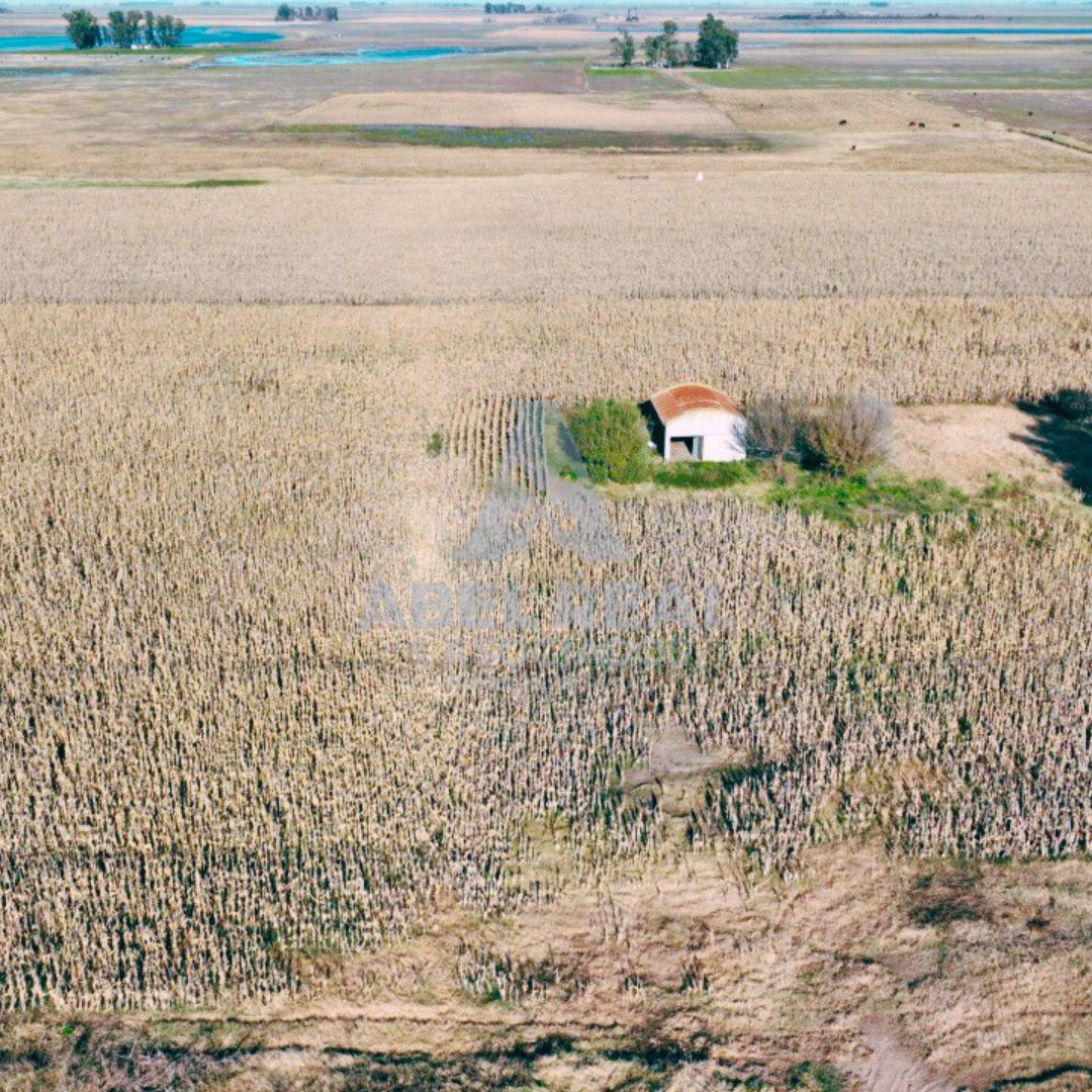60 ha Bayauca,Prov. de Buenos Aires