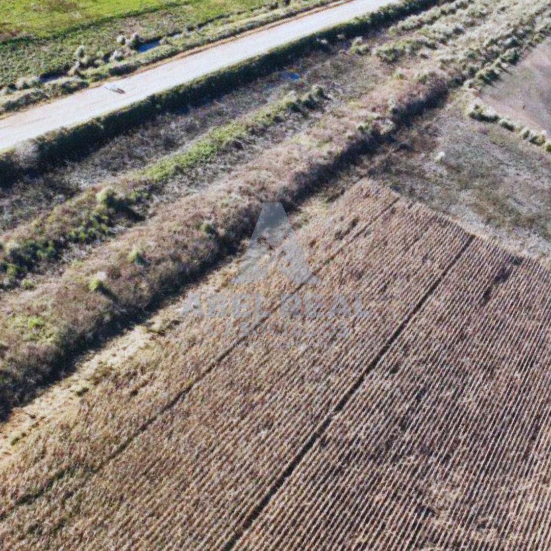 60 ha Bayauca,Prov. de Buenos Aires