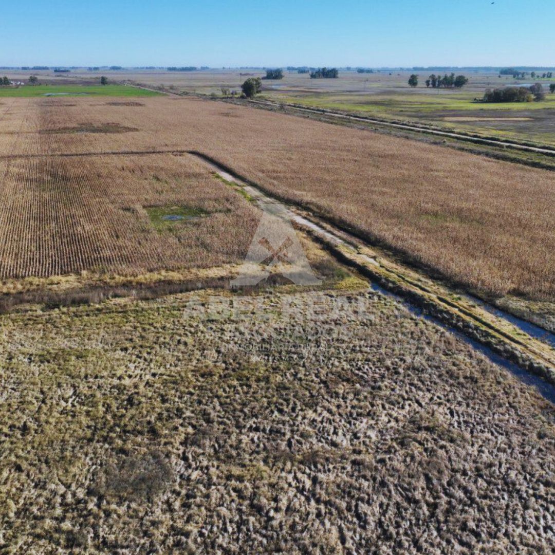 60 ha Bayauca,Prov. de Buenos Aires